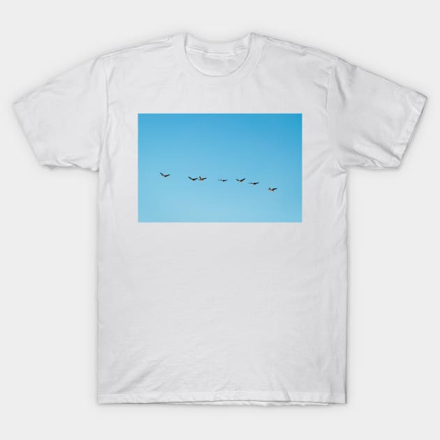 Chain of Geese T-Shirt by gdb2